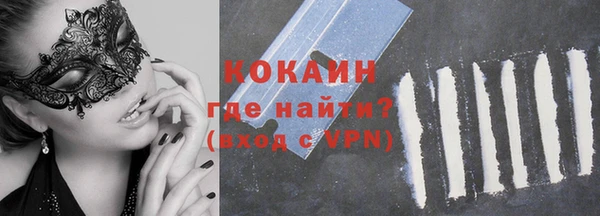 стаф Козельск