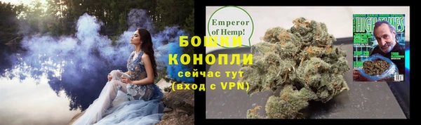 стаф Козельск