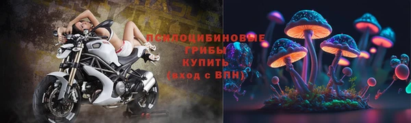стаф Козельск