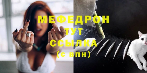 стаф Козельск