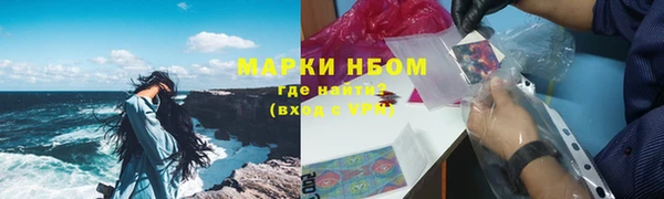 стаф Козельск