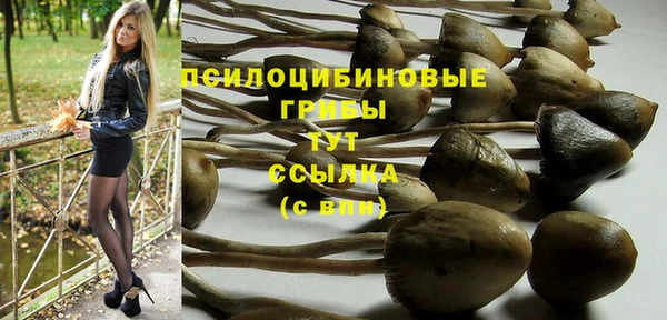 стаф Козельск