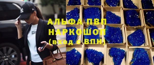 стаф Козельск