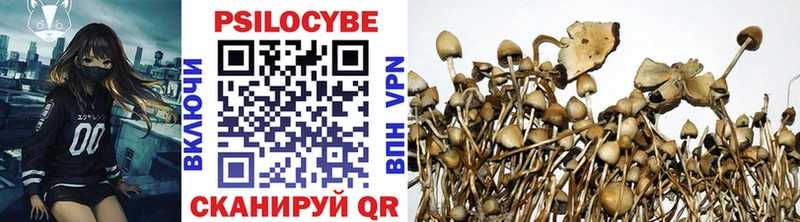 Купить где  Собинка  Галлюциногенные грибы мицелий 